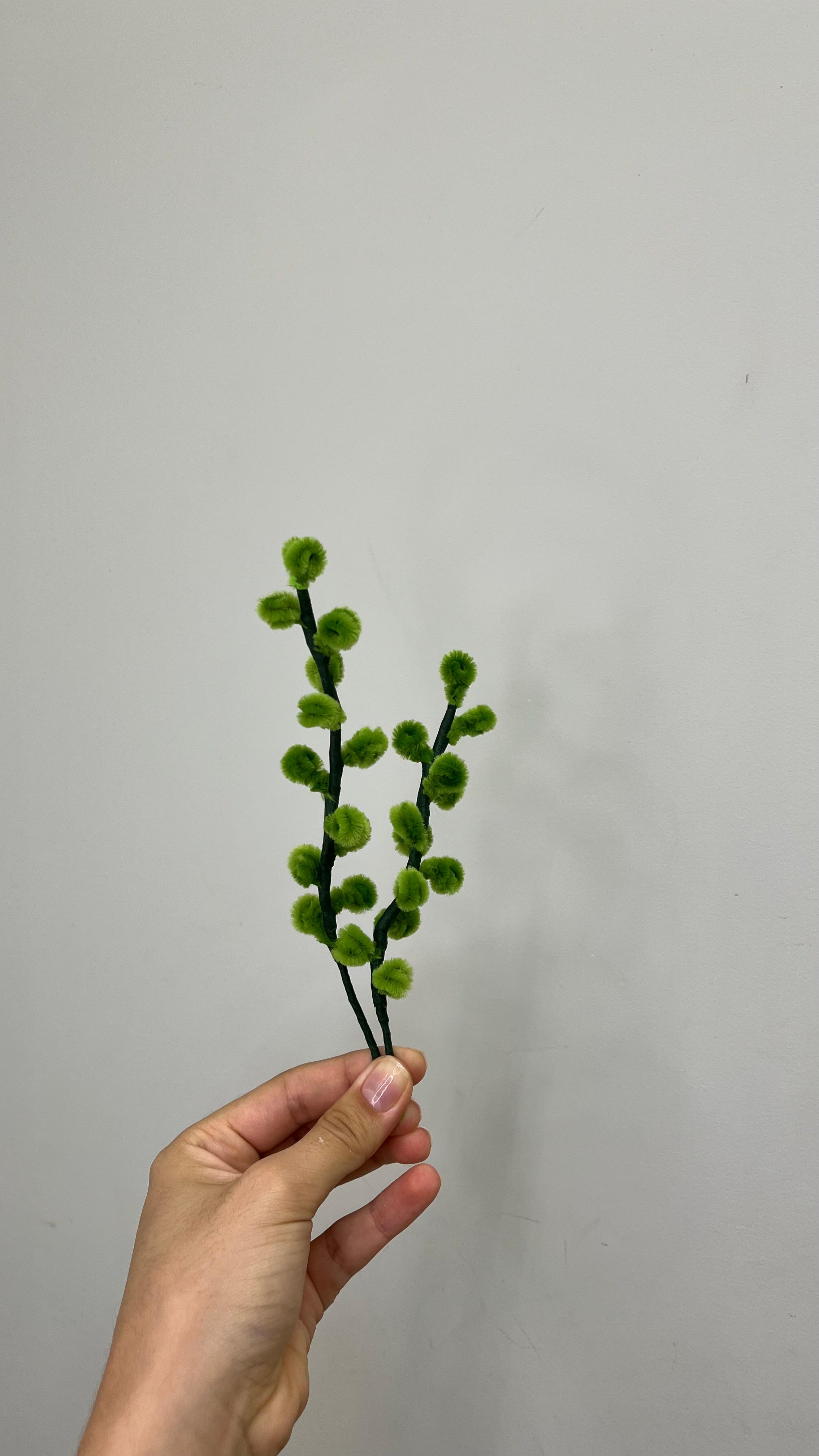 Pecã PipeFlorYou